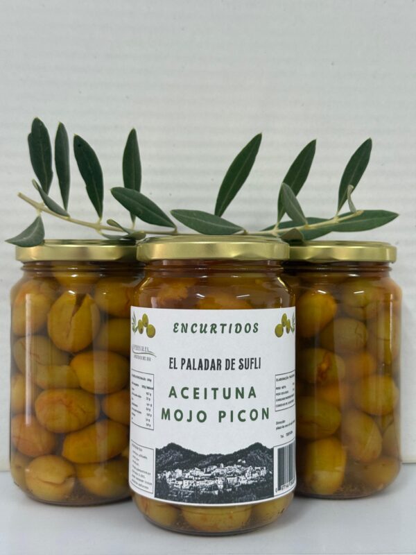 ACEITUNA MOJO PICÓN